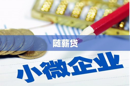 和静随薪贷