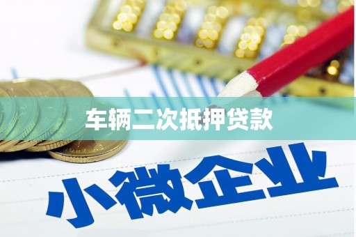 和静车辆二次抵押贷款