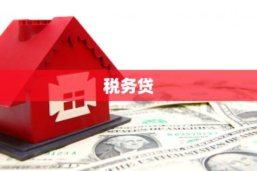 和静税务贷