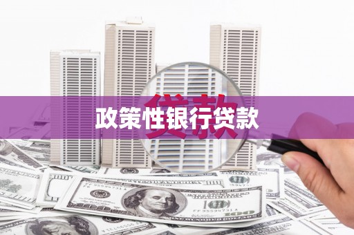 和静政策性银行贷款