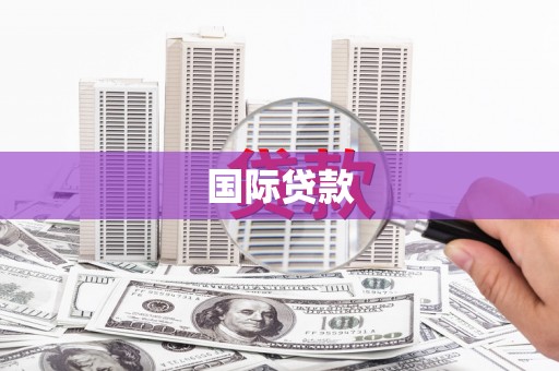 和静国际贷款