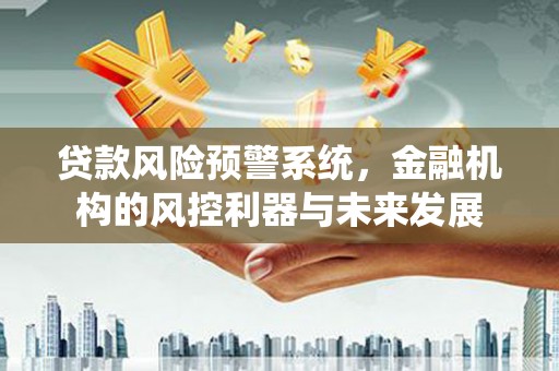 和静贷款风险预警系统，金融机构的风控利器与未来发展