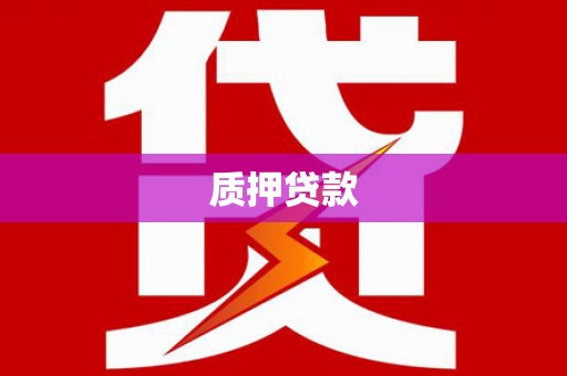 和静质押贷款