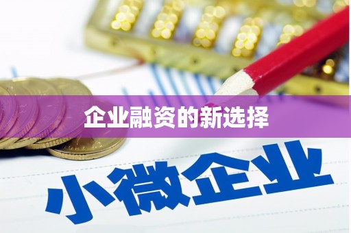 和静企业融资的新选择