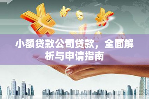 和静小额贷款公司贷款，全面解析与申请指南