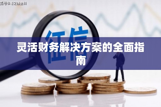 和静灵活财务解决方案的全面指南