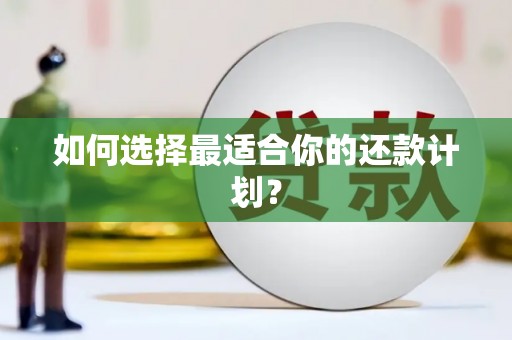和静如何选择最适合你的还款计划？