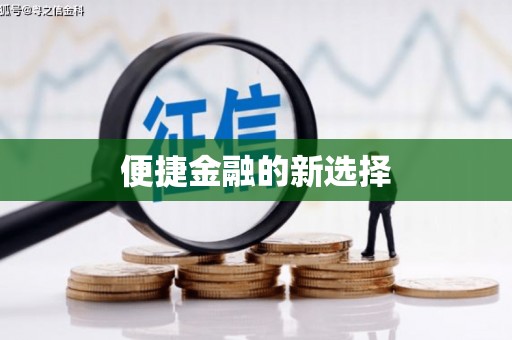 和静便捷金融的新选择