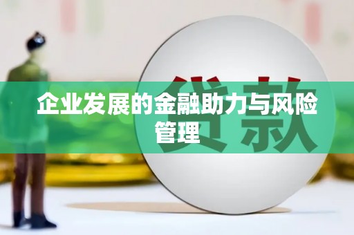 和静企业发展的金融助力与风险管理