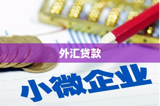 和静外汇贷款