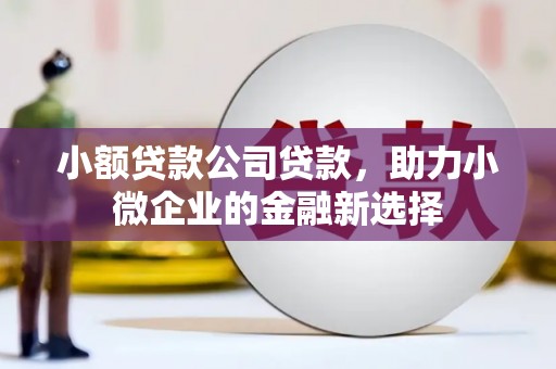 和静小额贷款公司贷款，助力小微企业的金融新选择
