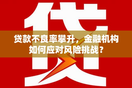 和静贷款不良率攀升，金融机构如何应对风险挑战？