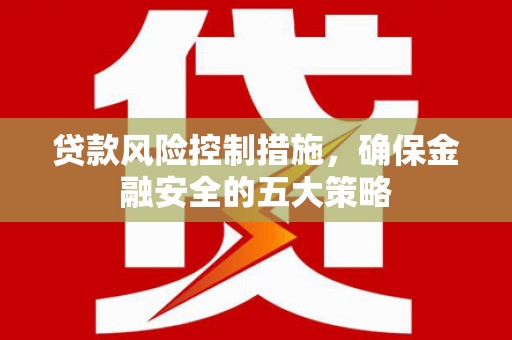 和静贷款风险控制措施，确保金融安全的五大策略
