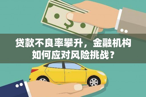 和静贷款不良率攀升，金融机构如何应对风险挑战？