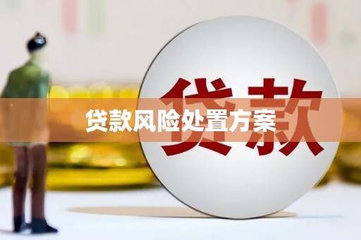 和静贷款风险处置方案