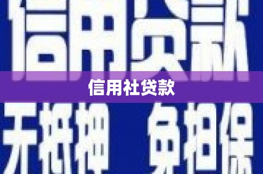 和静信用社贷款