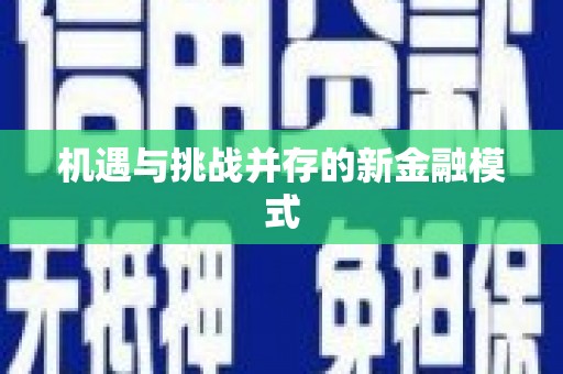 和静机遇与挑战并存的新金融模式