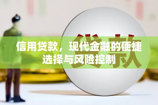 和静信用贷款，现代金融的便捷选择与风险控制