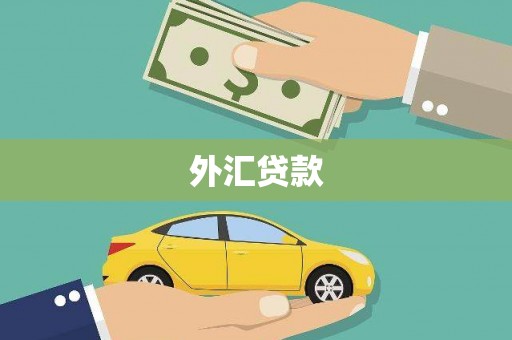 和静外汇贷款