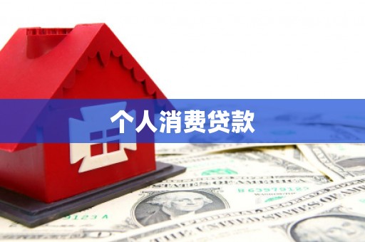 和静个人消费贷款