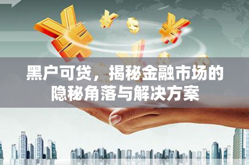 和静黑户可贷，揭秘金融市场的隐秘角落与解决方案