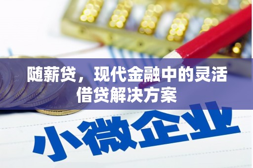 和静随薪贷，现代金融中的灵活借贷解决方案