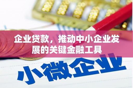 和静企业贷款，推动中小企业发展的关键金融工具
