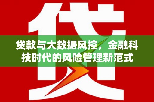 和静贷款与大数据风控，金融科技时代的风险管理新范式