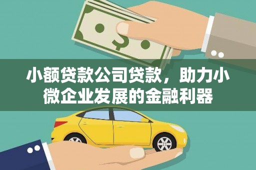 和静小额贷款公司贷款，助力小微企业发展的金融利器