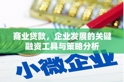 和静商业贷款，企业发展的关键融资工具与策略分析