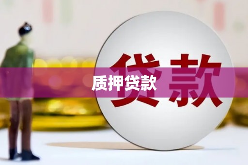 和静质押贷款