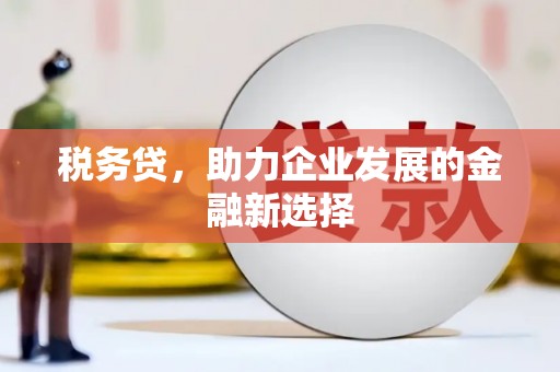 和静税务贷，助力企业发展的金融新选择