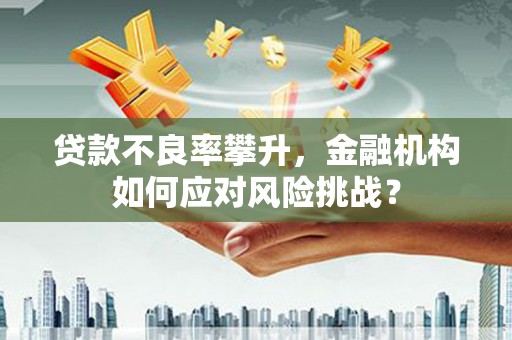和静贷款不良率攀升，金融机构如何应对风险挑战？