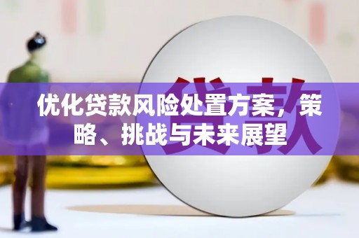 和静优化贷款风险处置方案，策略、挑战与未来展望