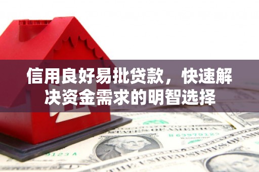 和静信用良好易批贷款，快速解决资金需求的明智选择
