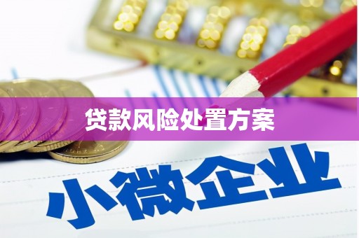 和静贷款风险处置方案