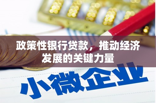 和静政策性银行贷款，推动经济发展的关键力量