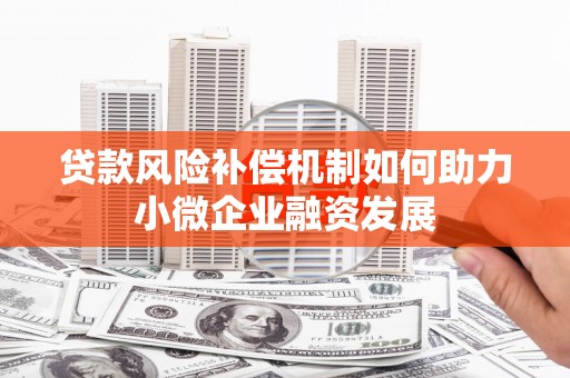和静贷款风险补偿机制如何助力小微企业融资发展