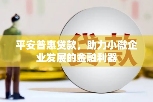 和静平安普惠贷款，助力小微企业发展的金融利器