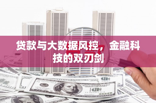 和静贷款与大数据风控，金融科技的双刃剑