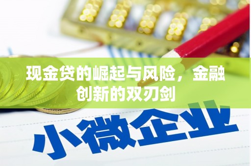 和静现金贷的崛起与风险，金融创新的双刃剑