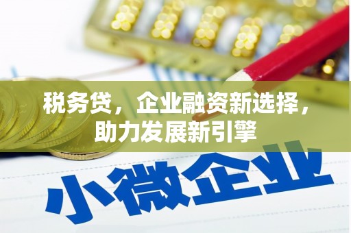 和静税务贷，企业融资新选择，助力发展新引擎