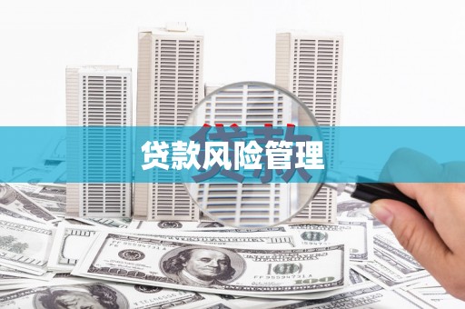和静贷款风险管理