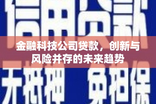 和静金融科技公司贷款，创新与风险并存的未来趋势