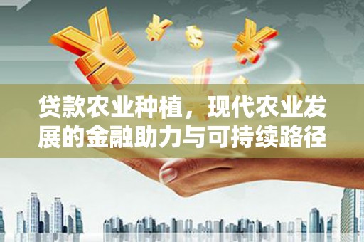 和静贷款农业种植，现代农业发展的金融助力与可持续路径