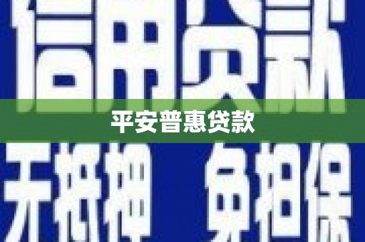 和静平安普惠贷款