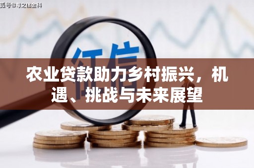 和静农业贷款助力乡村振兴，机遇、挑战与未来展望