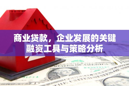 和静商业贷款，企业发展的关键融资工具与策略分析