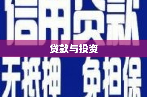 和静贷款与投资