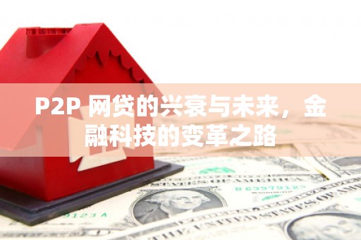 和静P2P 网贷的兴衰与未来，金融科技的变革之路